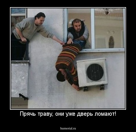 Прячь траву, они уже дверь ломают!