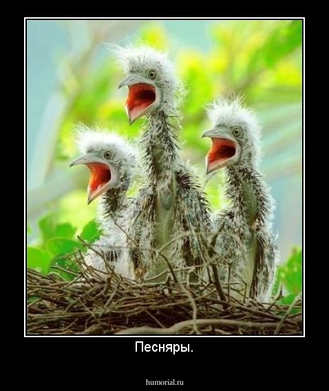 Песняры.
