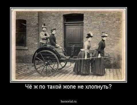 Чё ж по такой жопе не хлопнуть?