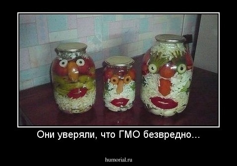 Они уверяли, что ГМО безвредно...