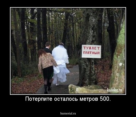 Потерпите осталось метров 500.