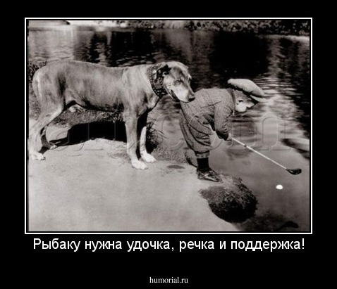 Рыбаку нужна удочка, речка и поддержка!