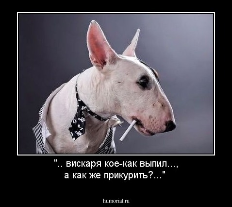 ".. вискаря кое-как выпил..., а как же прикурить?..."