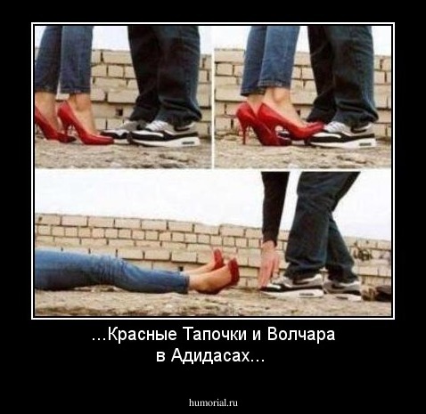 ...Красные Тапочки и Волчара в Адидасах...