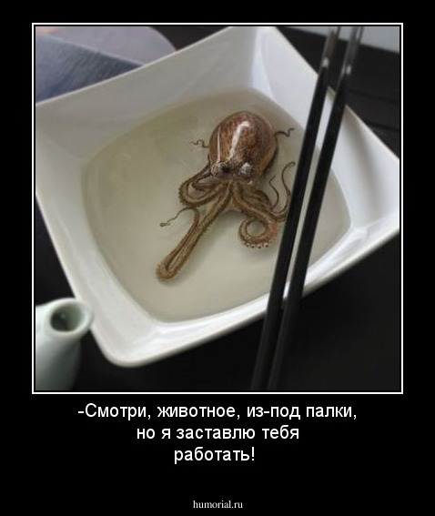 -Смотри, животное, из-под палки, но я заставлю тебя работать!