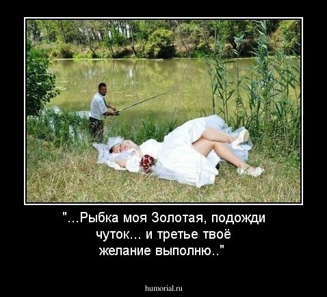 "...Рыбка моя Золотая, подожди чуток... и третье твоё желание выполню.."