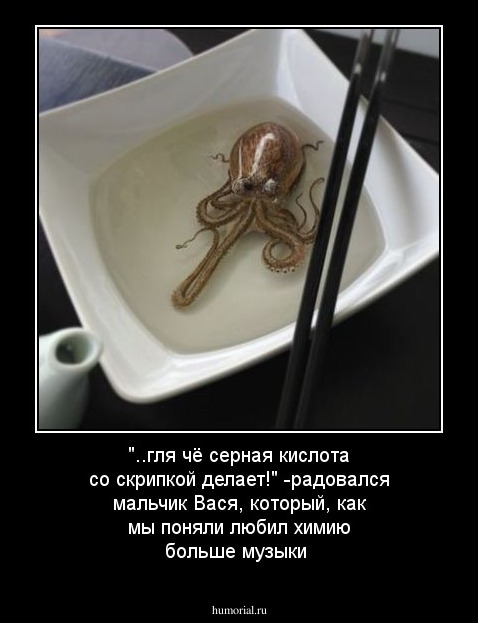 "..гля чё серная кислота со скрипкой делает!"  -радовался мальчик Вася, который, как мы поняли любил химию больше музыки