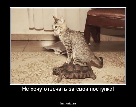 Не хочу отвечать за свои поступки!
