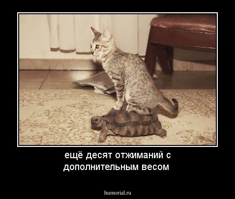 ещё десят отжиманий с дополнительным весом