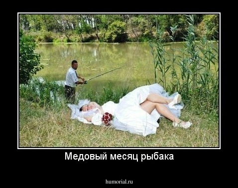 Медовый месяц рыбака