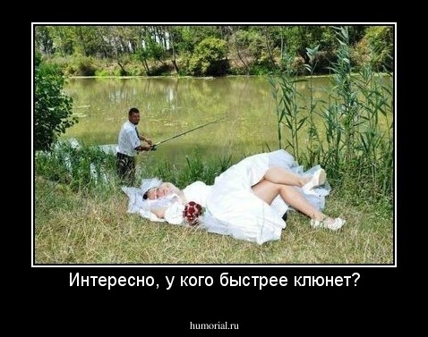 Интересно, у кого быстрее клюнет?