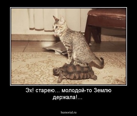 Эх! старею... молодой-то Землю держала!...