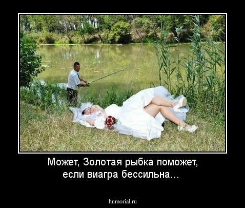 Может, Золотая рыбка поможет, если виагра бессильна...