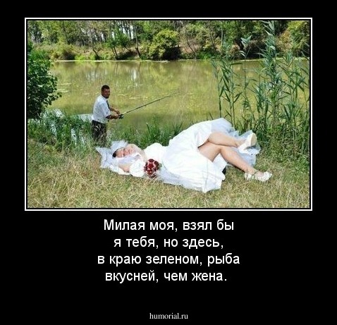 Милая моя, взял бы я тебя, но здесь, в краю зеленом, рыба вкусней, чем жена.