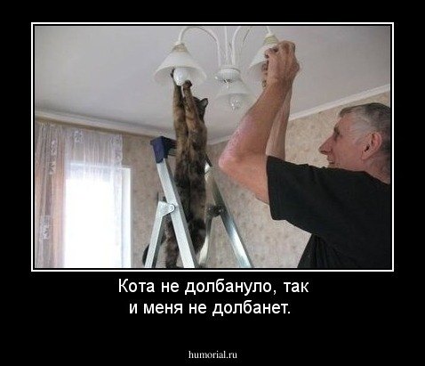 Кота не долбануло, так и меня не долбанет.