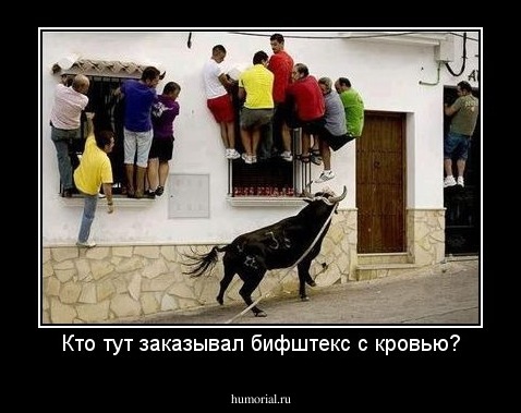Кто тут заказывал бифштекс с кровью?