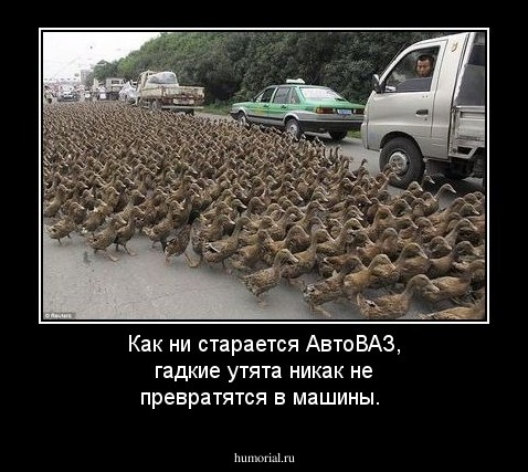 Как ни старается АвтоВАЗ, гадкие утята никак не превратятся в машины.