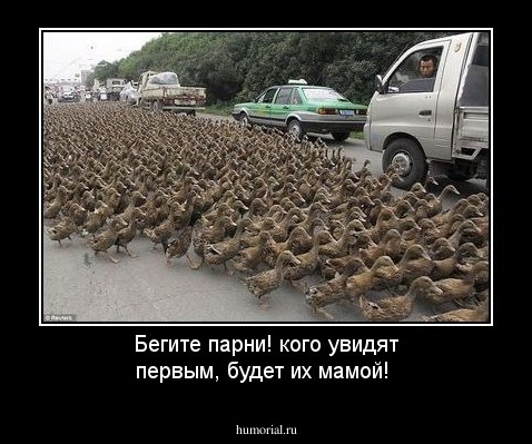 Бегите парни! кого увидят  первым, будет их мамой!