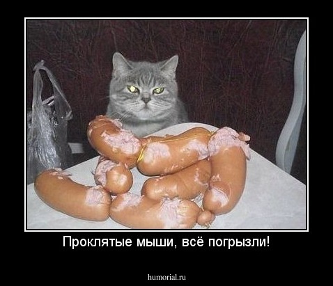 Проклятые мыши, всё погрызли!