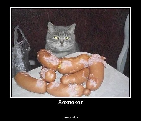 Хохлокот