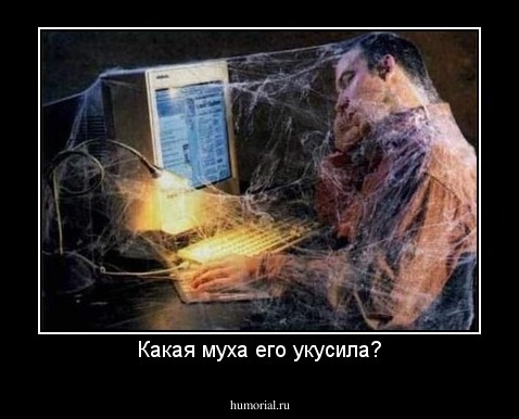 Какая муха его укусила?
