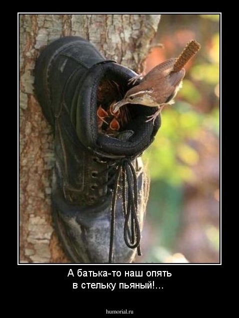 А батька-то  наш опять в стельку пьяный!...
