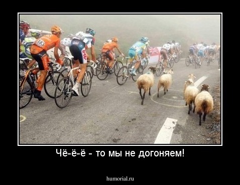 Чё-ё-ё - то мы не догоняем!