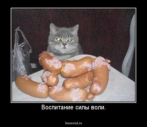 Воспитание силы воли.
