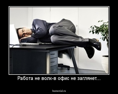 Работа не волк-в офис не заглянет...