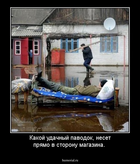 Какой удачный паводок, несет прямо в сторону магазина.