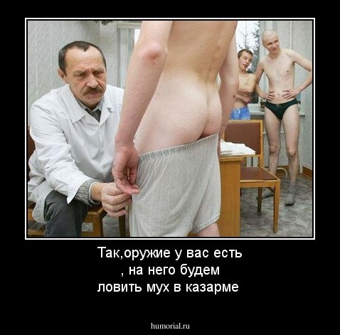 Так,оружие у вас есть , на него будем ловить мух в казарме