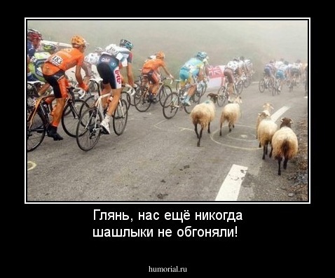 Глянь, нас ещё никогда шашлыки не обгоняли! 