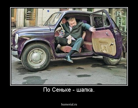 По Сеньке - шапка.