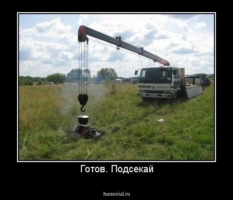 Готов. Подсекай