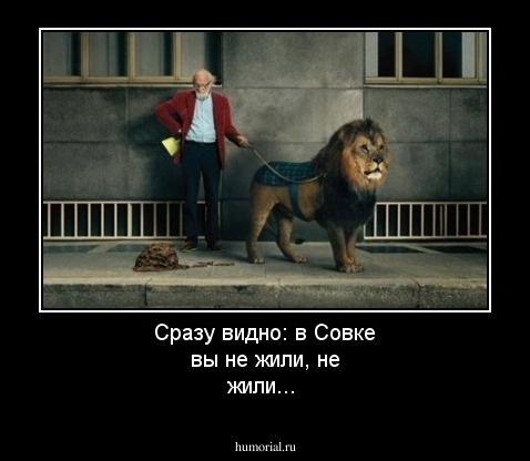 Сразу видно: в Совке вы не жили, не жили...