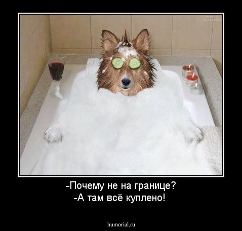 -Почему не на границе?
-А там всё куплено!