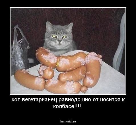 кот-вегетарианец равнодошно отшосится к колбасе!!!!
