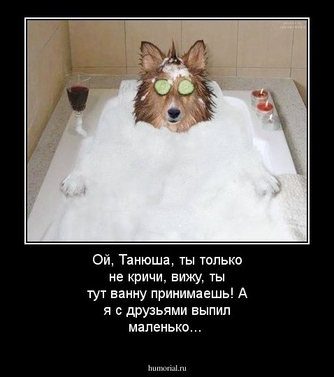 Ой, Танюша, ты только не кричи, вижу, ты тут ванну принимаешь! А я с друзьями выпил маленько...