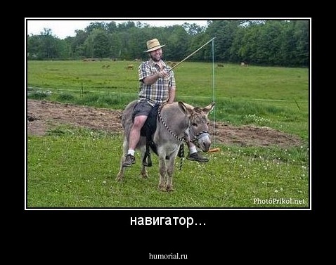 навигатор...