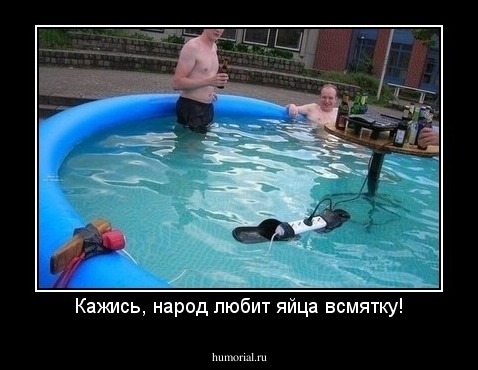 Кажись, народ любит яйца всмятку!