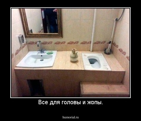 Все для головы и жопы.