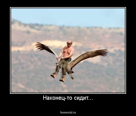 Наконец-то сидит...
