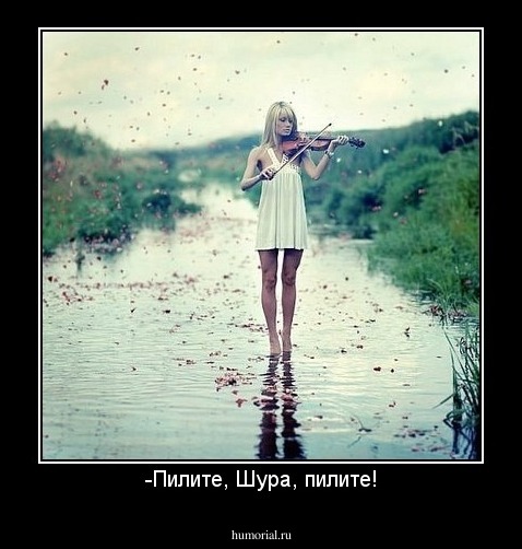 -Пилите, Шура, пилите!