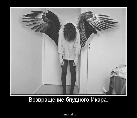 Возвращение блудного Икара.