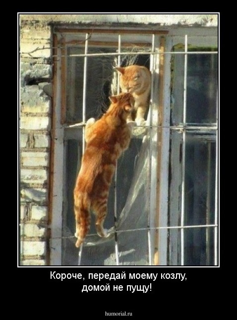 Короче, передай моему козлу, домой не пущу!