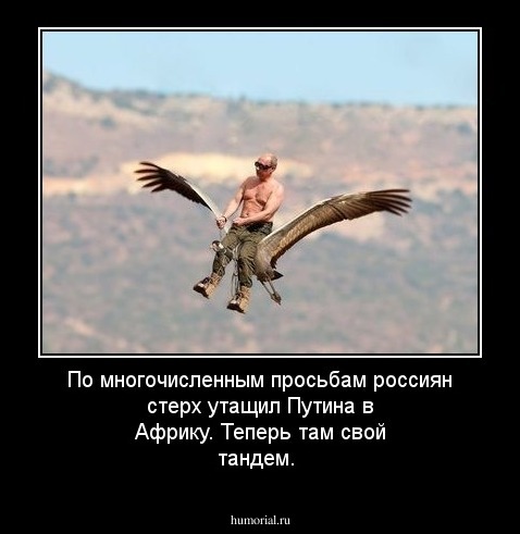 По многочисленным просьбам россиян стерх утащил Путина в Африку. Теперь там свой тандем.