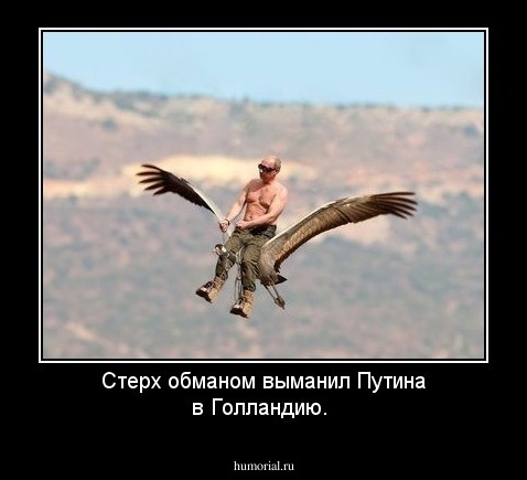 Стерх обманом выманил Путина в Голландию.