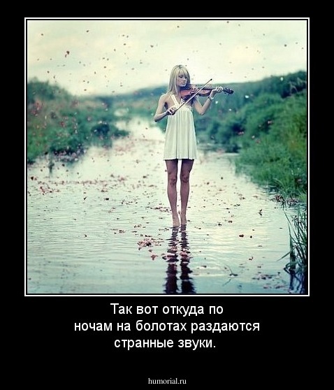 Так вот откуда по ночам на болотах раздаются странные звуки.