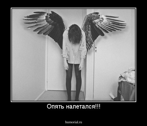Опять налетался!!!