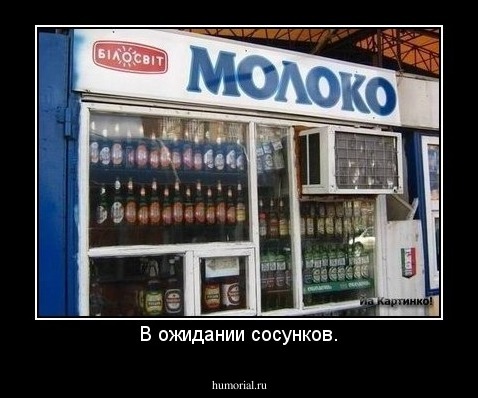 В ожидании сосунков.